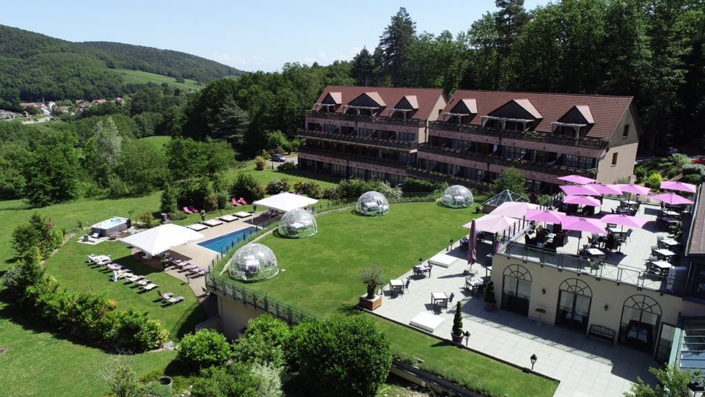 Les Violettes au coeur de la nature