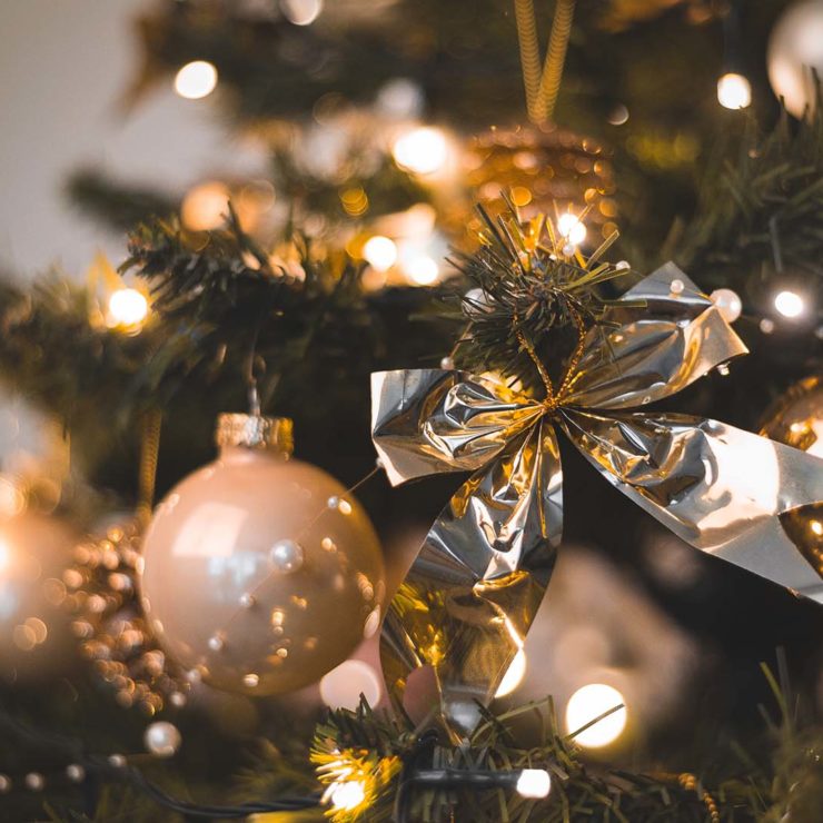Fêtez Noël aux Violettes