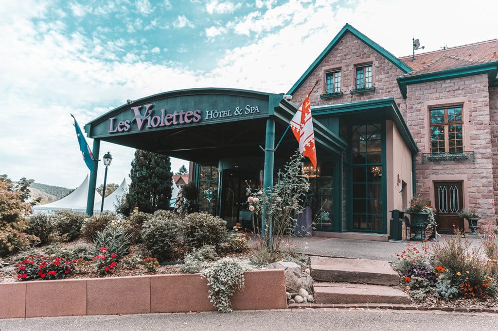 entre réception violettes hôtel