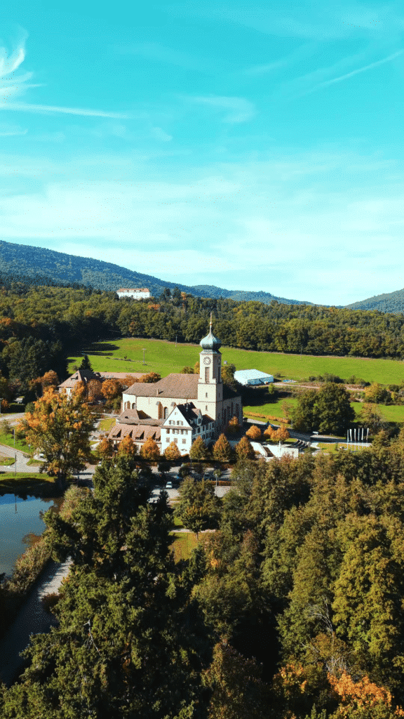 Vidéo les violettes Drone