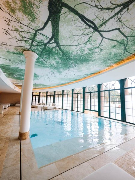 spa piscine interieure plafond vegetal